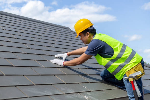 Best Roof Maintenance Services  in Mount Morris, MI