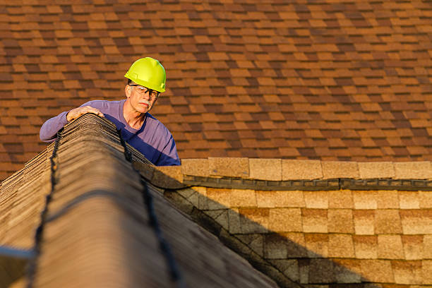 Best Residential Roofing Contractor  in Mount Morris, MI