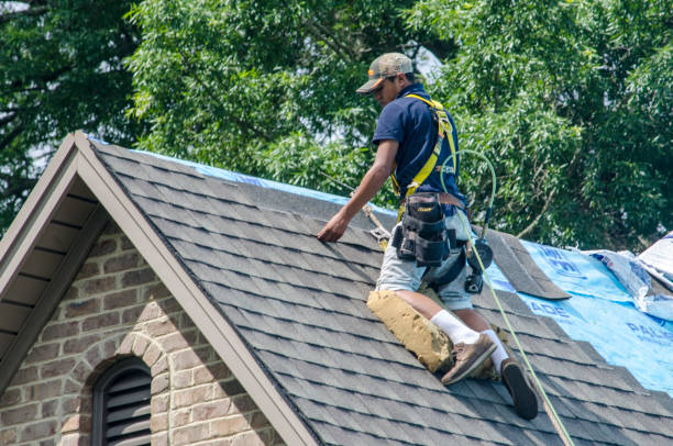 Best Residential Roofing Contractor  in Mount Morris, MI